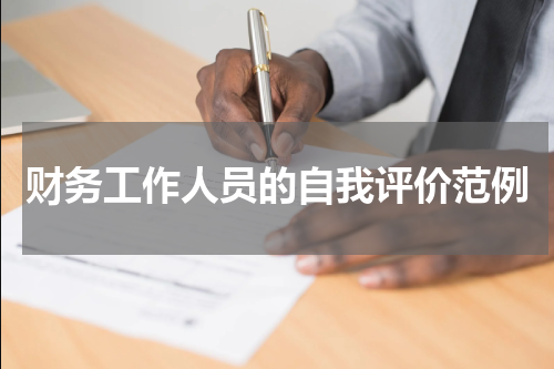 财务工作人员的自我评价范例