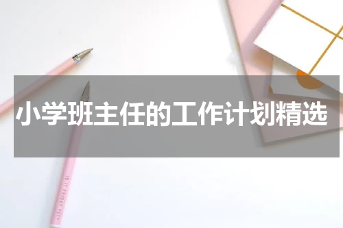 小学班主任的工作计划精选