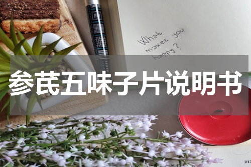 参芪五味子片说明书