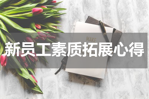 新员工素质拓展心得