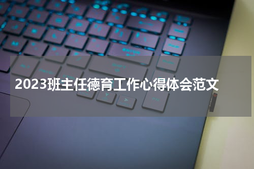 2023班主任德育工作心得体会范文