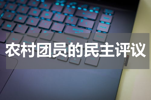 农村团员的民主评议