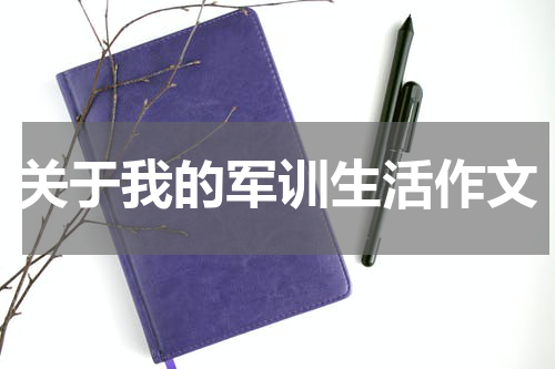关于我的军训生活作文