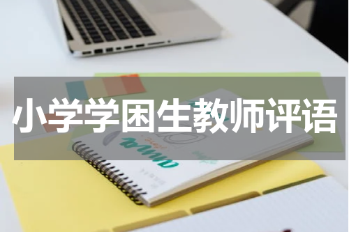 小学学困生教师评语
