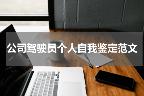 公司驾驶员个人自我鉴定范文
