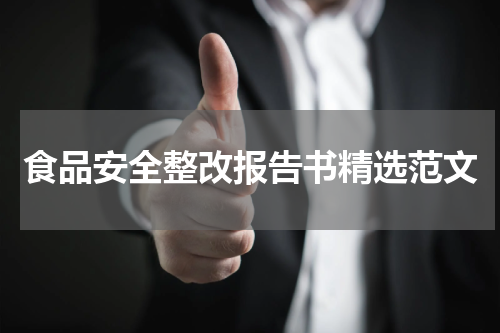食品安全整改报告书精选范文