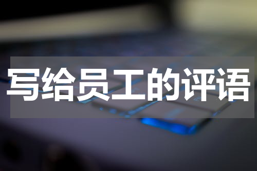 写给员工的评语
