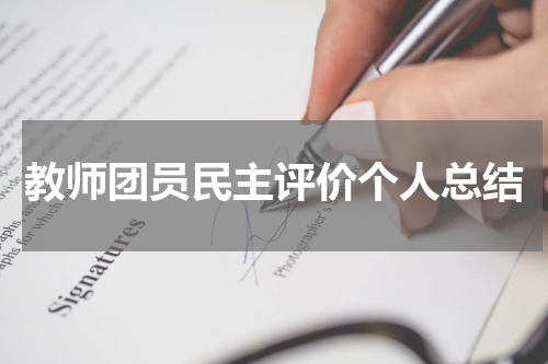 教师团员民主评价个人总结