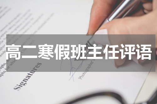 高二寒假班主任评语