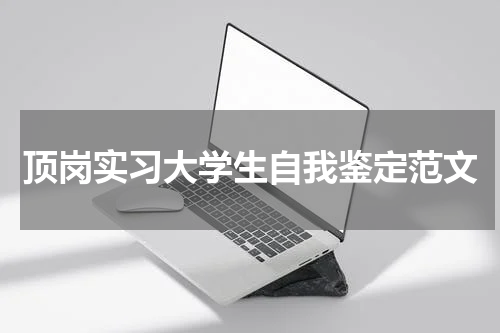 顶岗实习大学生自我鉴定范文
