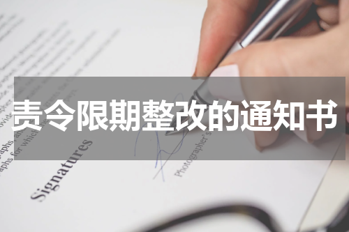 责令限期整改的通知书