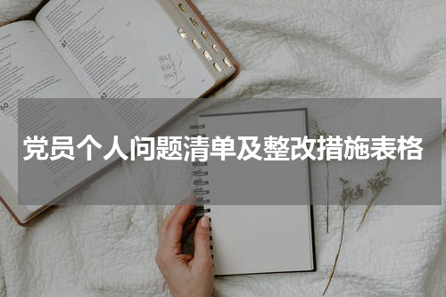 党员个人问题清单及整改措施表格