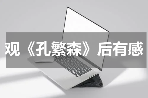 观《孔繁森》后有感