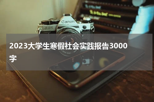 2023大学生寒假社会实践报告3000字