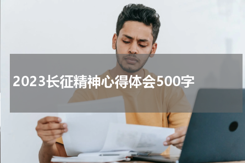 2023长征精神心得体会500字