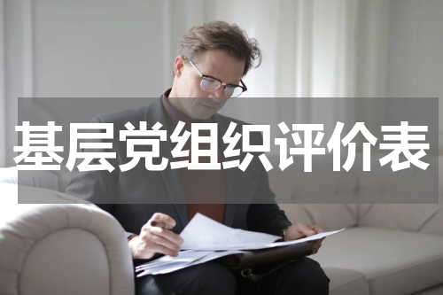 基层党组织评价表