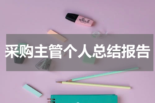 采购主管个人总结报告