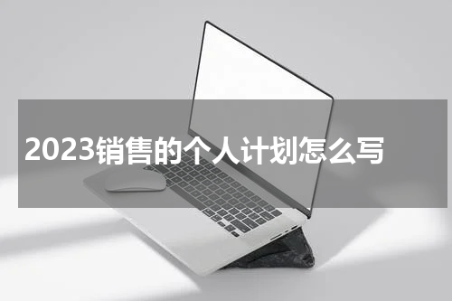 2023销售的个人计划怎么写