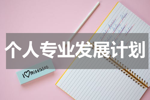 个人专业发展计划