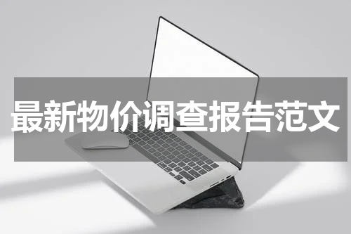 最新物价调查报告范文