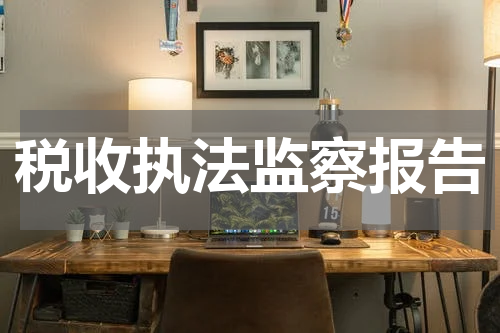 税收执法监察报告
