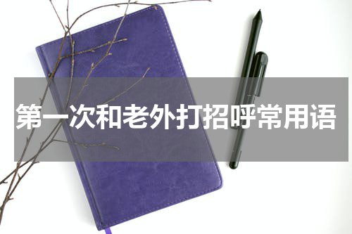 第一次和老外打招呼常用语
