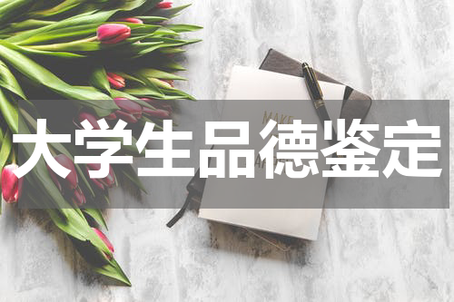 大学生品德鉴定