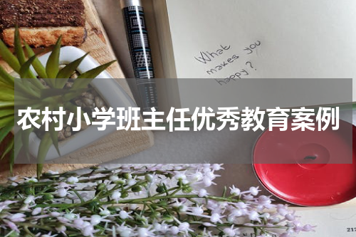 农村小学班主任优秀教育案例