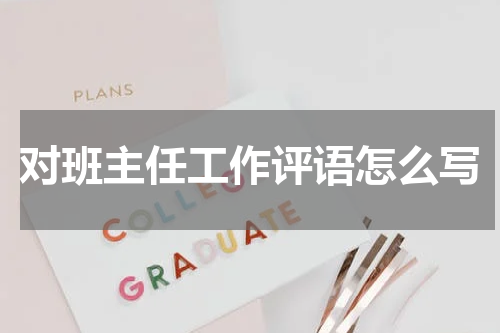 对班主任工作评语怎么写