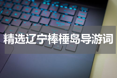 精选辽宁棒棰岛导游词