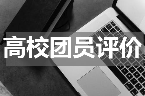 高校团员评价