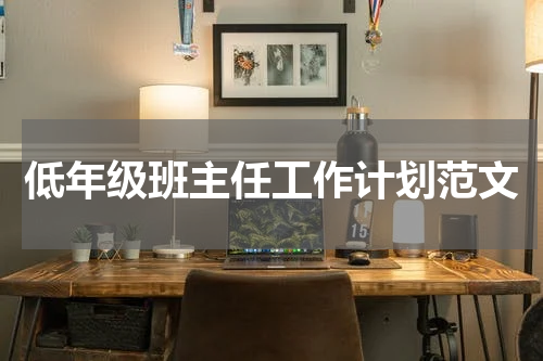 低年级班主任工作计划范文