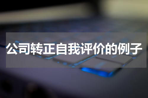公司转正自我评价的例子