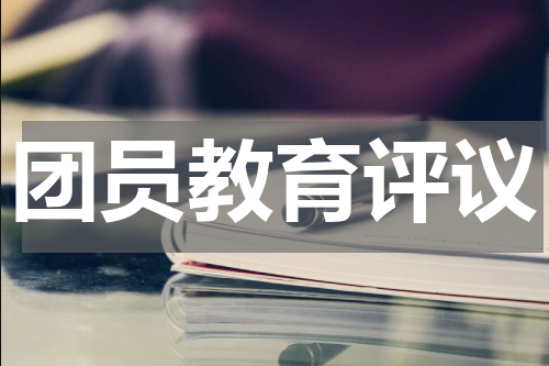 团员教育评议