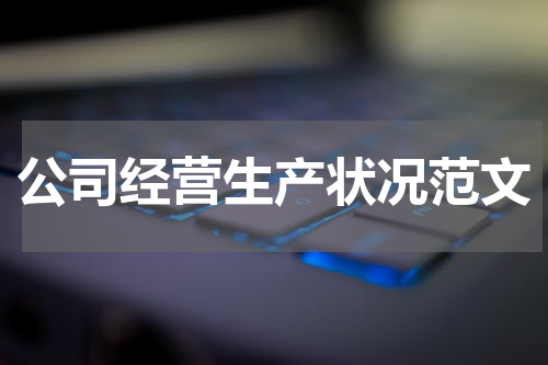 公司经营生产状况范文