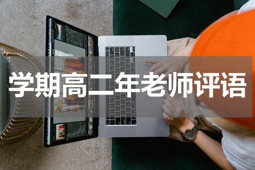 学期高二年老师评语