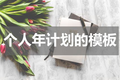 个人年计划的模板