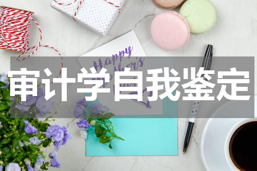 审计学自我鉴定