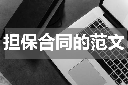 担保合同的范文