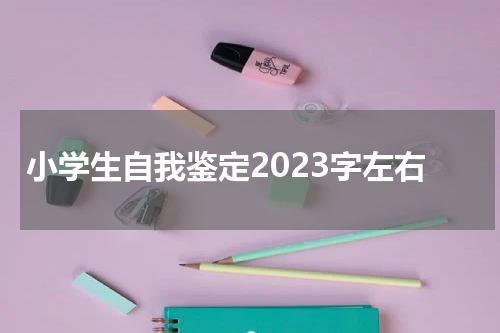小学生自我鉴定2023字左右