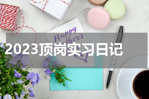 2023顶岗实习日记