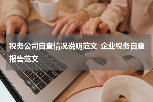 税务公司自查情况说明范文_企业税务自查报告范文