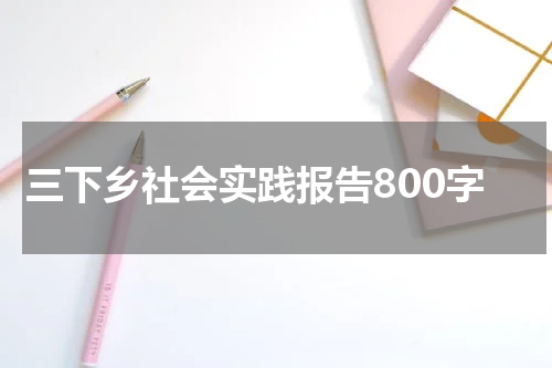 三下乡社会实践报告800字