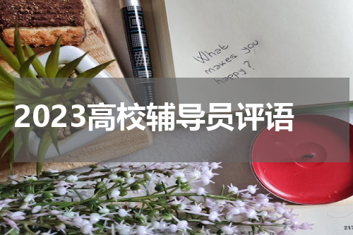 2023高校辅导员评语