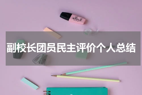 副校长团员民主评价个人总结