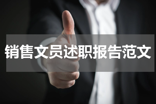 销售文员述职报告范文