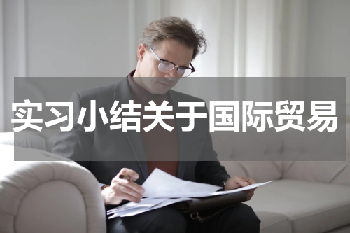 实习小结关于国际贸易