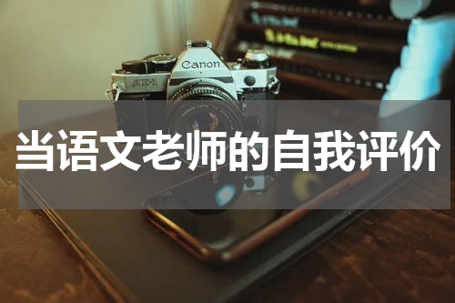 当语文老师的自我评价