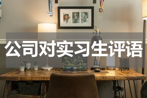 公司对实习生评语