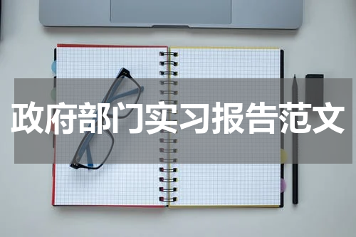 政府部门实习报告范文